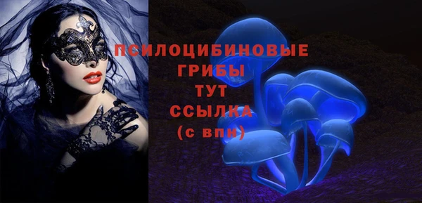 a pvp Алексеевка